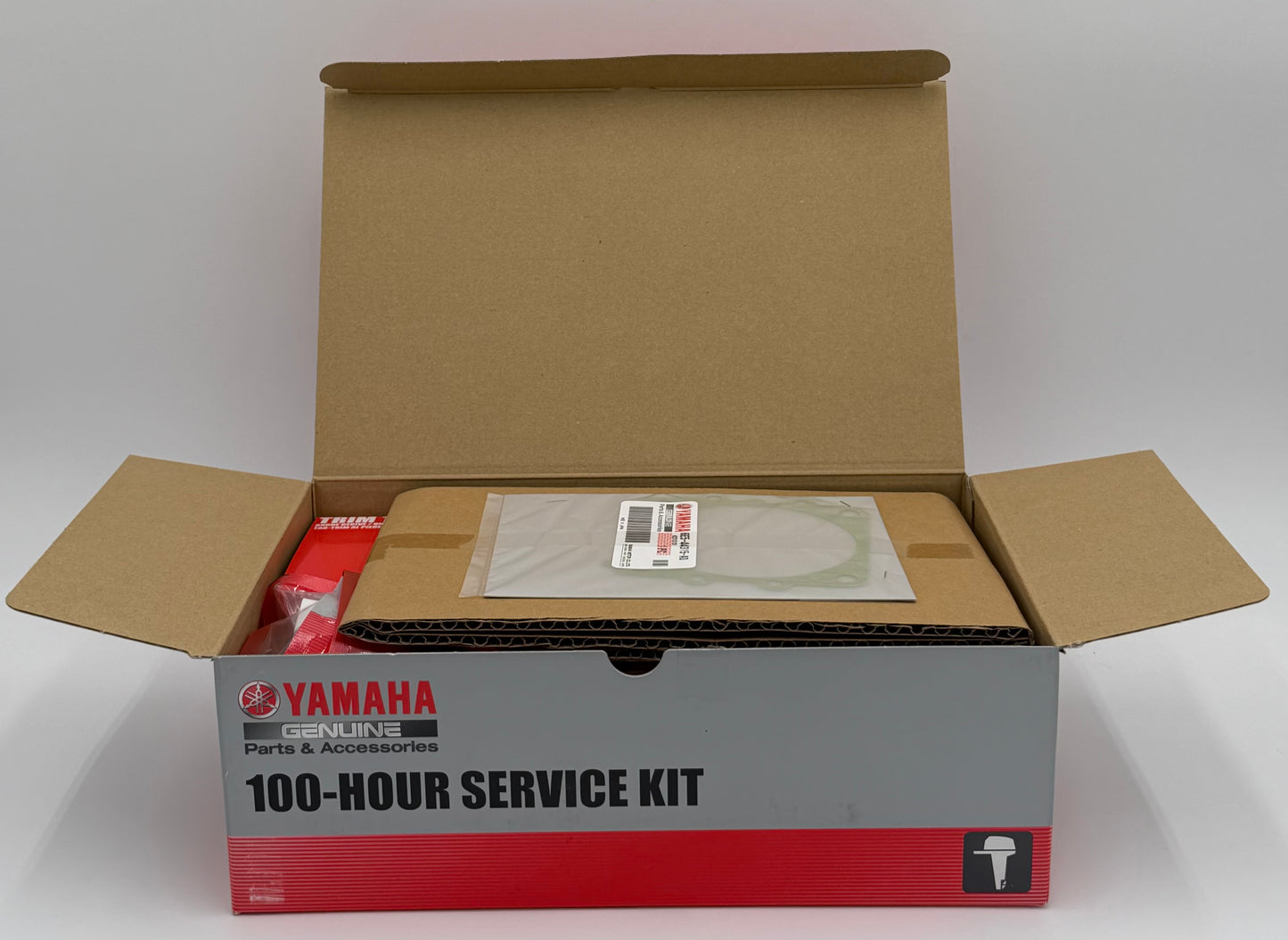 NEW YAMAHA OEM 100 Hour Service Kit- 1 Yr. Warranty- 6EK-W006A-00-00